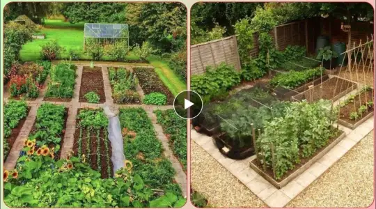 Amazing Vegetables Garden Designs