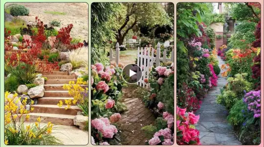 Latest 50+Garden Flower Designs