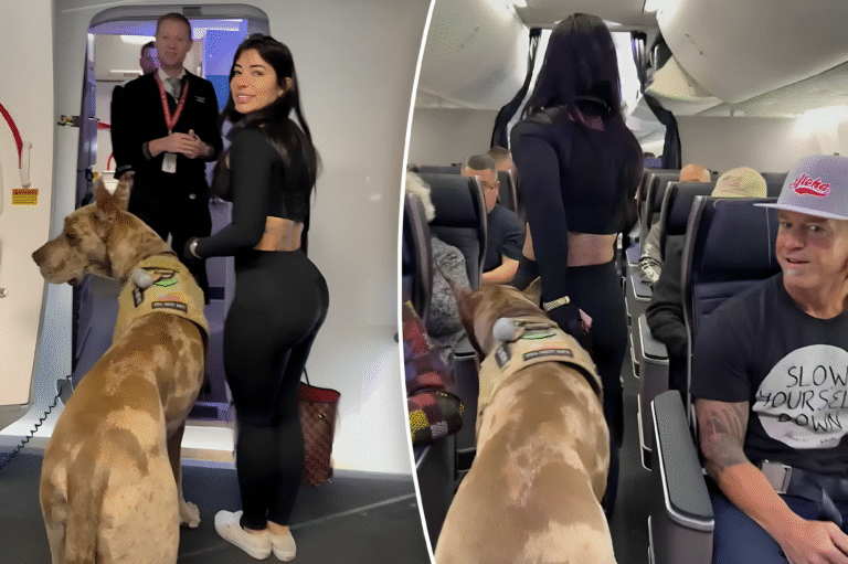 Sexy influencer brings huge dog as a service animal on flight — here’s how passengers reacted