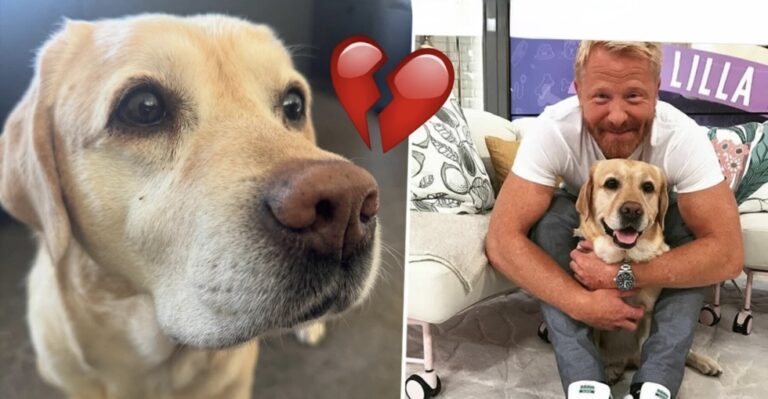 Hundcoachens hjärtskärande sorg – Lilla Nymos liv går inte att rädda