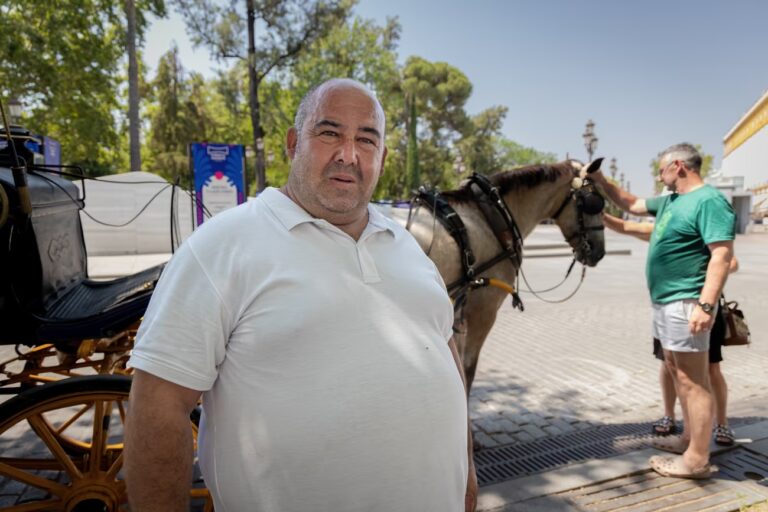 Antonio, 46, kör häst och vagn i hettan: ”Har inte råd att inte jobba”