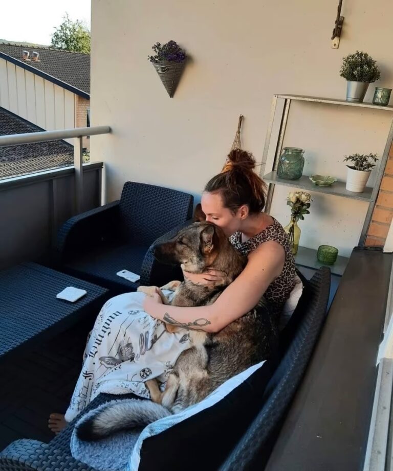 Felicias hund felkremerades på djursjukhuset