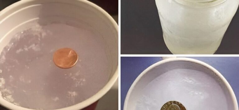 „Så här varför du alltid ska lägga ett mynt i frysen innan du går hemifrån.“