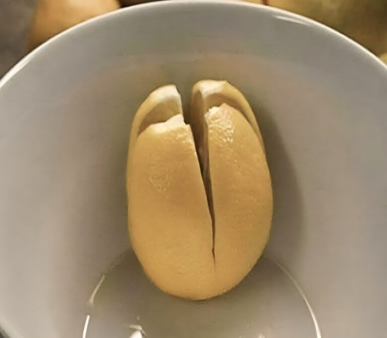 Varför det är fördelaktigt att förvara en citron i ditt sovrum!