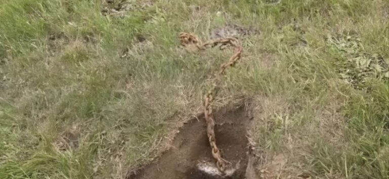 Jag hittade en kedja begravd under min brevlåda – så här gick det till.