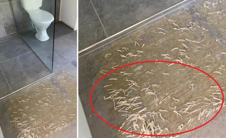 Jag hittade den här på badrumsgolvet och blev chockad när jag fick reda på vad det var.