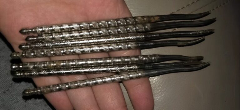 En ovanlig nötplockartool har fått användare på internet att diskutera.