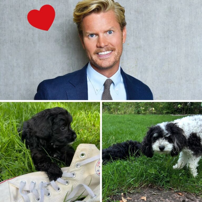 Nymo-profilens glada besked – får tillökning i familjen: ”Åtta veckor”