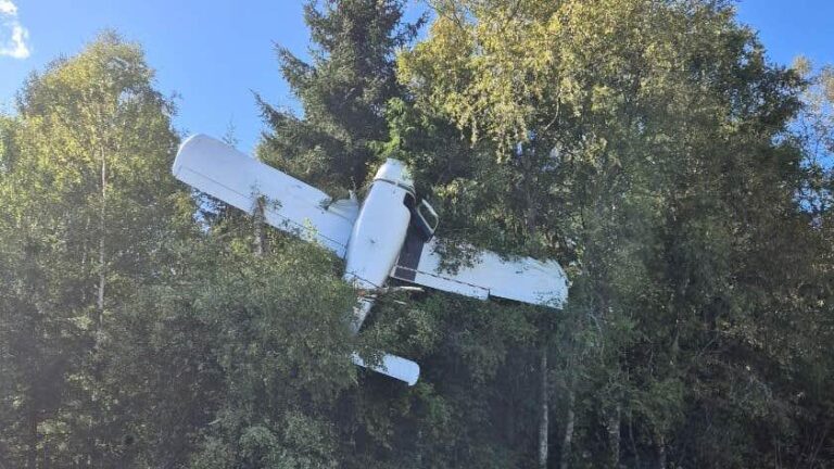 Flygplansolycka i Skånes Fagerhult – kvinna till sjukhus