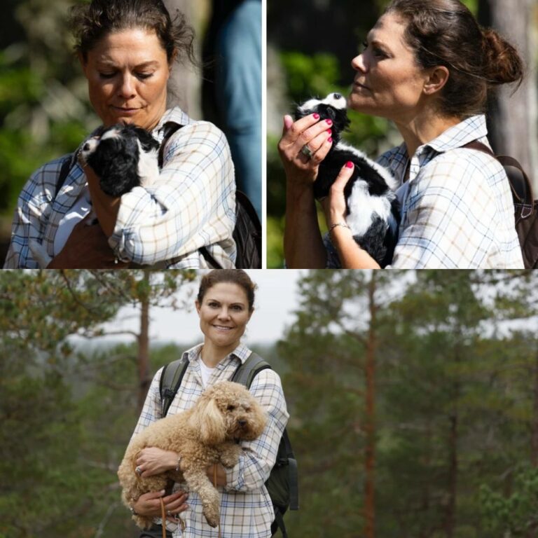 Victoria överraskar alla med valpen – visar upp på jobbet!