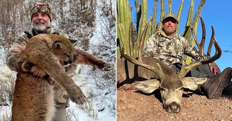 Miljonären skulle jaga storvilt – då drabbades han av ”svarta döden”