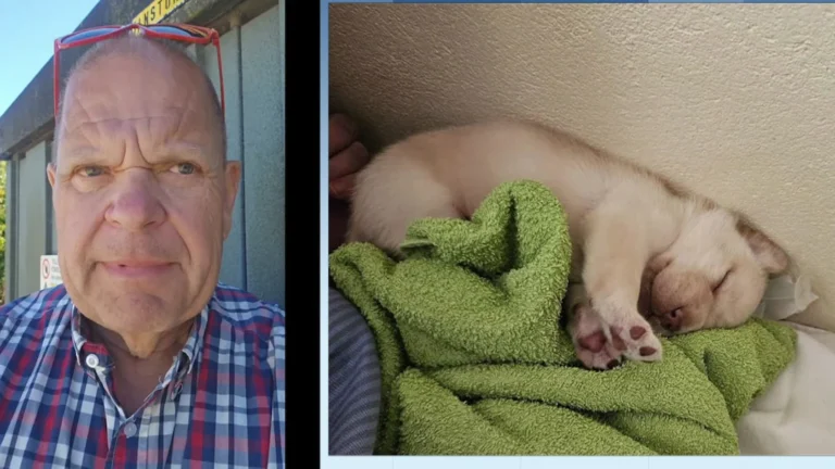 Peter chockad av valpfyndet i diket: ”De som gör sånt är inga människor”