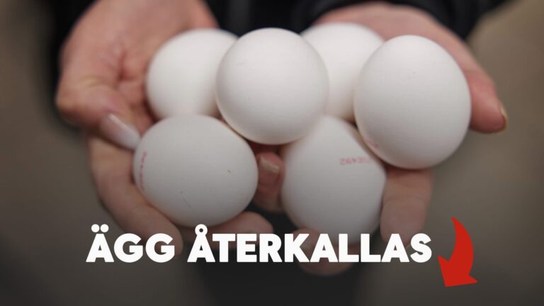 Ägg återkallas