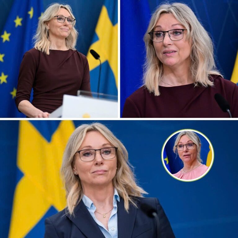 Stegrud: Jag framstår ju som helt galen