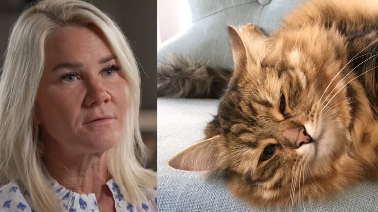 Sara tvingades avliva sin dyra raskatt – efter två år: ”Verkade konstigt”