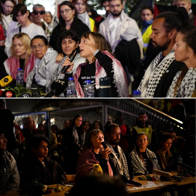 Greta Thunberg: Utsattes för extrema fysiska övergrepp och tortyr