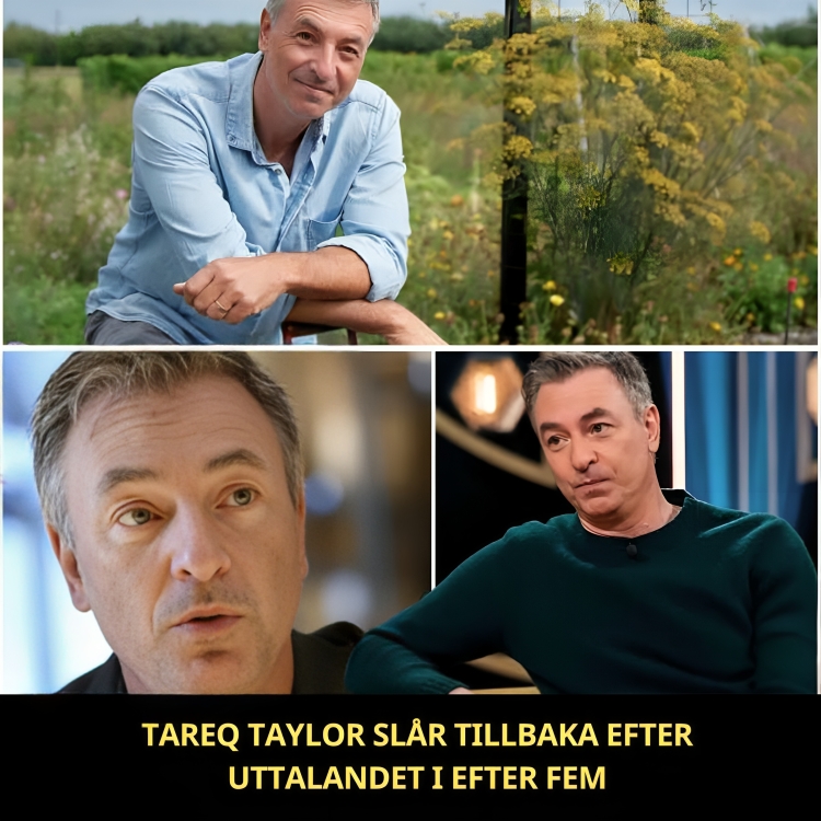 Tareq Taylor slår tillbaka efter uttalandet i Efter fem