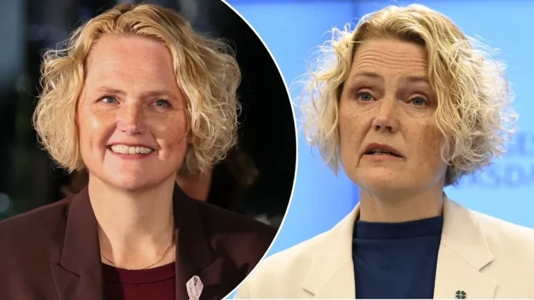 Anna-Karin Hatt (C) avgår som partiledare efter hat och hot