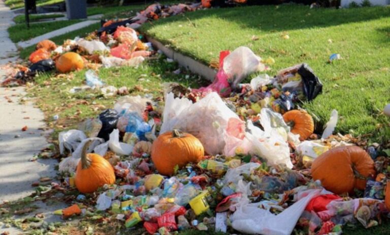 My Halloween Decorations Were Destroyed Overnight, and I Knew Exactly Who Was Behind It