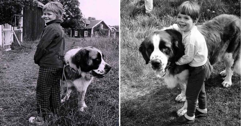 Hunden bakom succén ”Båtsman” i ”Vi på Saltkråkan”