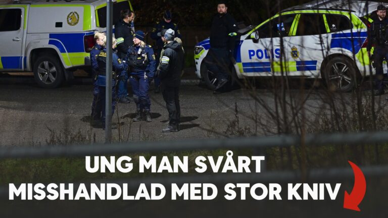Ung man svårt misshandlad med stor kniv