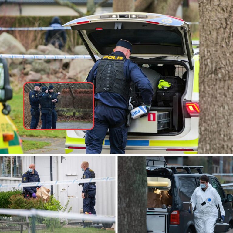 Lokalt engagemang och rädsla: “Chocken i Hörby: Kvinna och barn döda – man i polisens häkte”