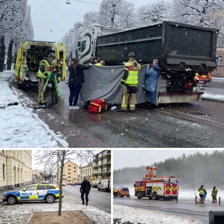 Lastbilschaufför körde på gående på övergångsställe – straffas