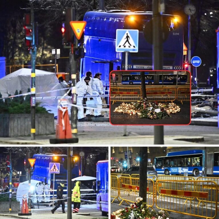 “Inte ett tekniskt fel, utan en sjukdom: orsaken till den dödliga bussolyckan har avslöjats”