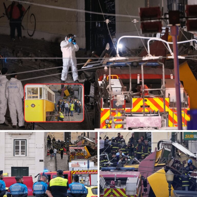 Ett helt land sörjer: Portugal har drabbats av en fruktansvärd olycka som har krävt ett stort antal människors liv.