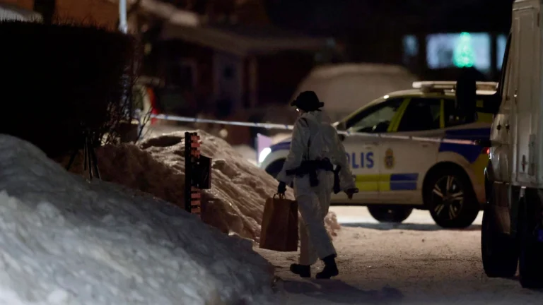 Mamman till misstänkta mördaren: ”Insåg att han kunde vara farlig”