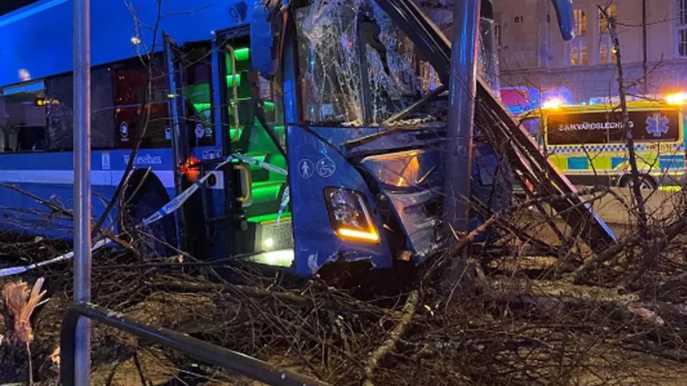 Busschauffören om dödsolyckan: ”Det var en stolpe framför mig”