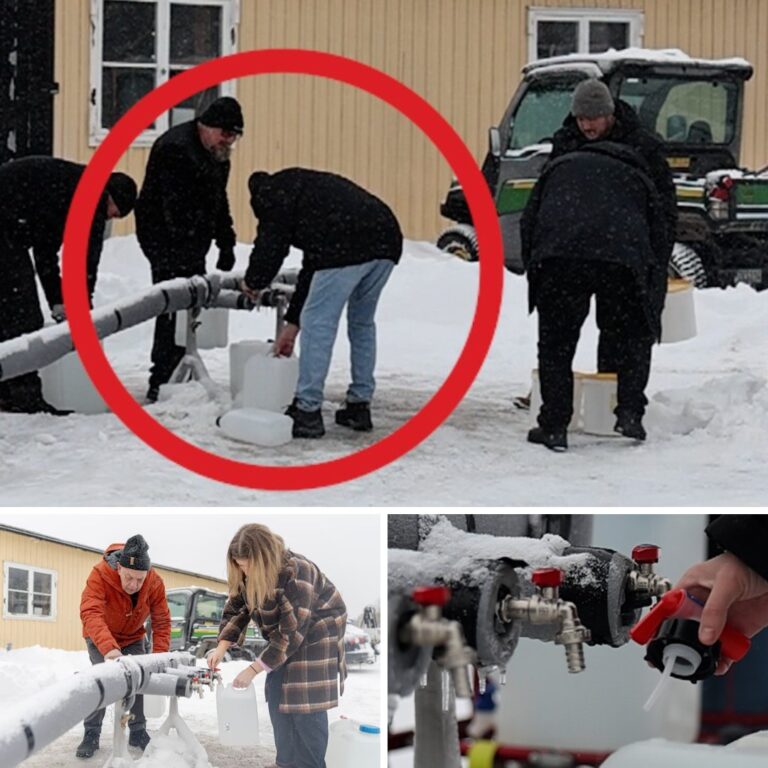 Bengt, 79, hämtar dricksvatten i snön: ”Man har misslyckats totalt”